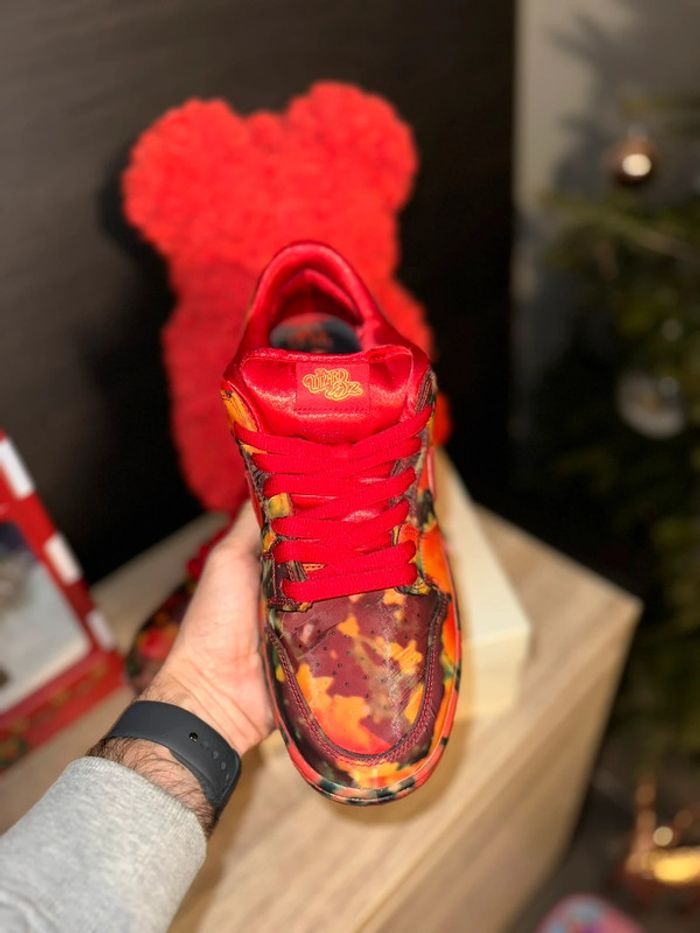 Nike Dunk Sb Pro - Wizard of Oz - photo numéro 4