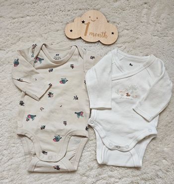 Bodys 1 mois