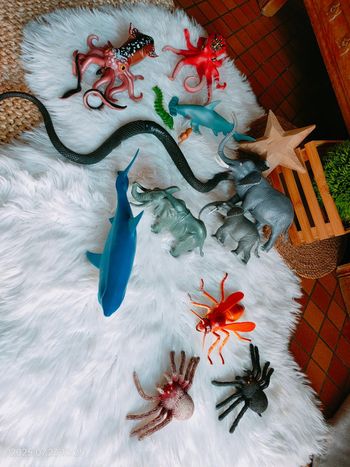 Lot de 13 Animaux