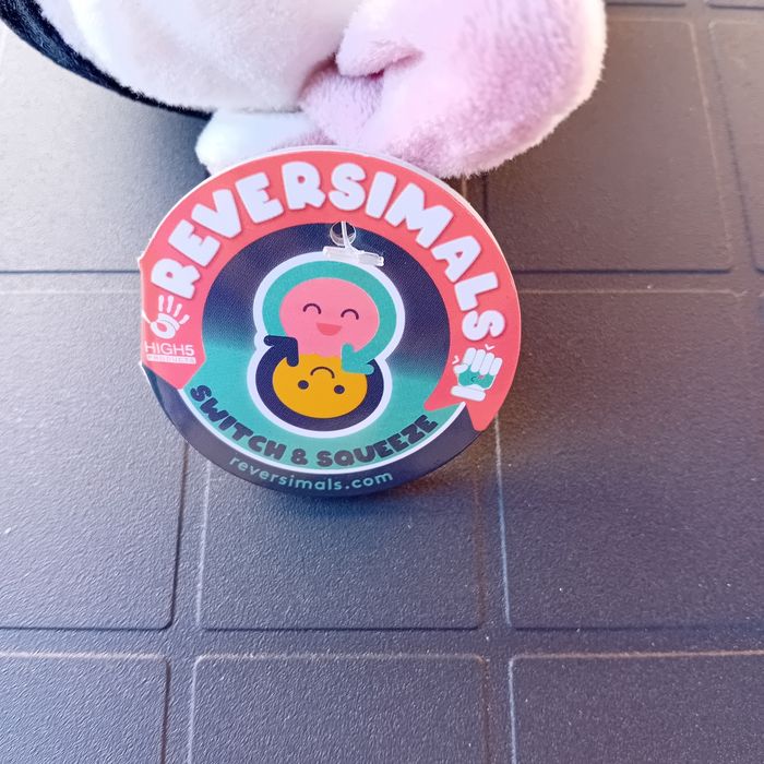 Lapin - photo numéro 3