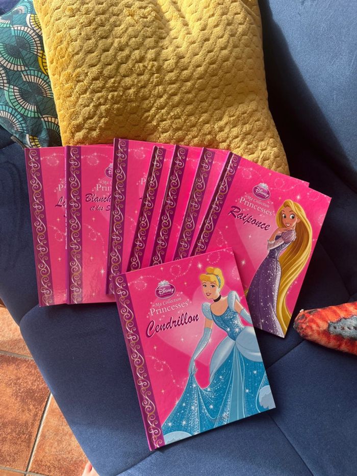 livre disney princess
