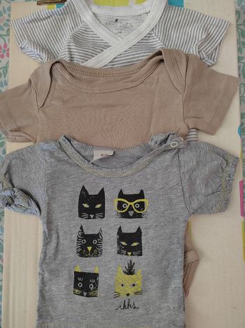 Lot de 3 bodies manches courtes