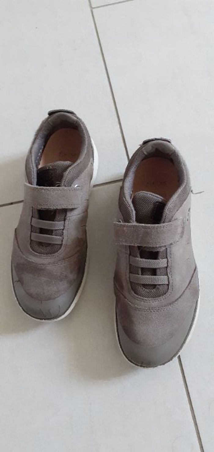 Baskets P.34 GEOX