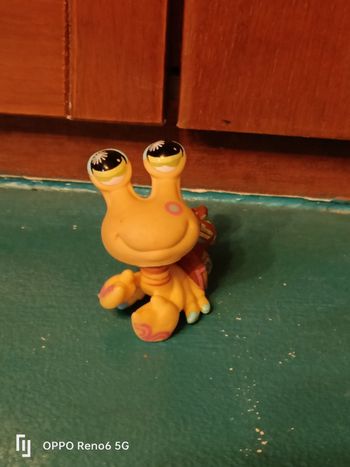 LPS Bernard l'hermite