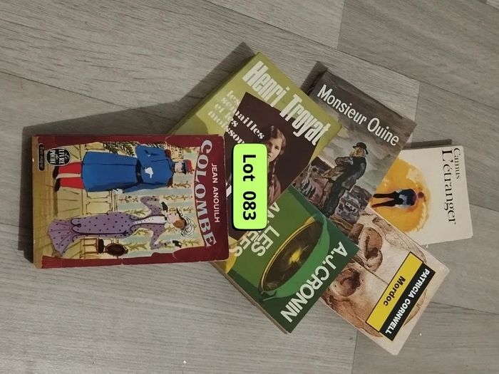 Lot de 6 livres romans et textes intégraux des années 50-60 et 70 L083   7581883598