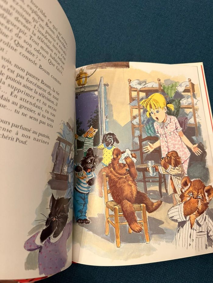 Livre rare collector édition limitée bords rouges Caroline et Boum Ermite Pierre Probst - photo numéro 6