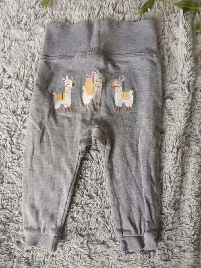 Jogging 3m - photo numéro 2