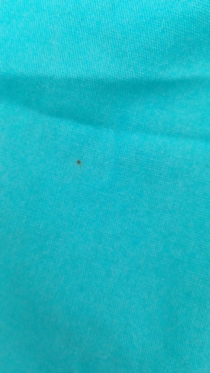 Short - photo numéro 4