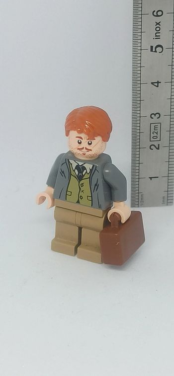 Homme professeur remus lupin avec valise lego