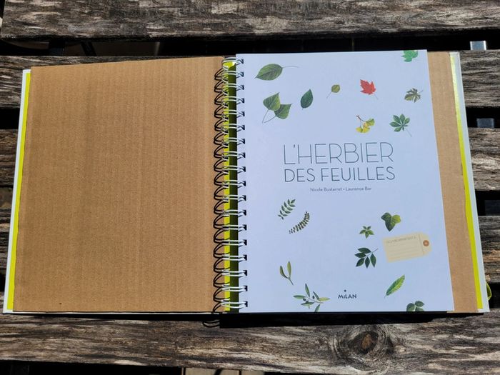 Très bel herbier Milan : L'Herbier des feuilles 🍃 72 - photo numéro 3