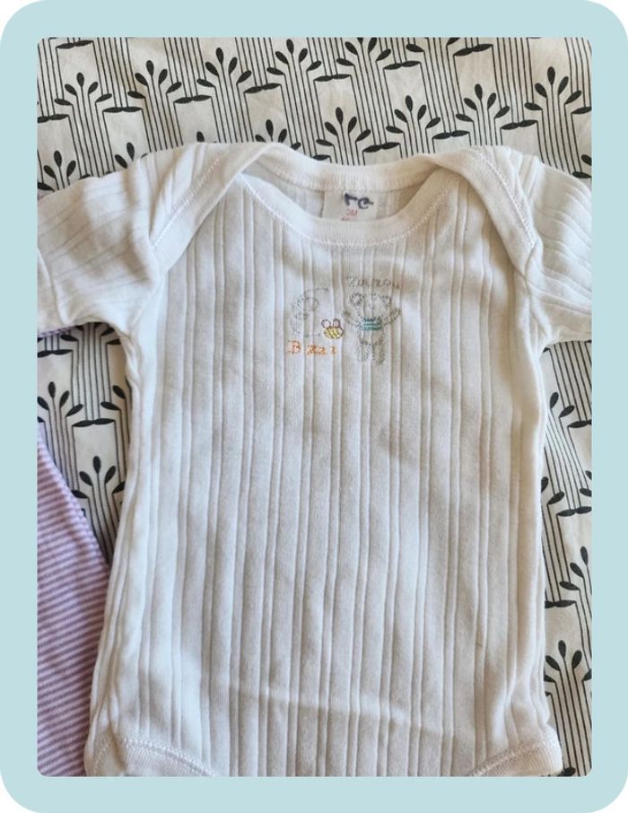 Lot 2 bodies bebe Petit Bateau 3mois - photo numéro 3