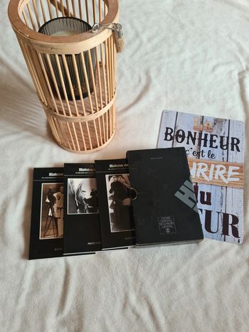 Livres Histoire de voir
