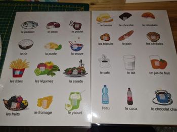 Supports et cartes alimentation pecs plastifiés