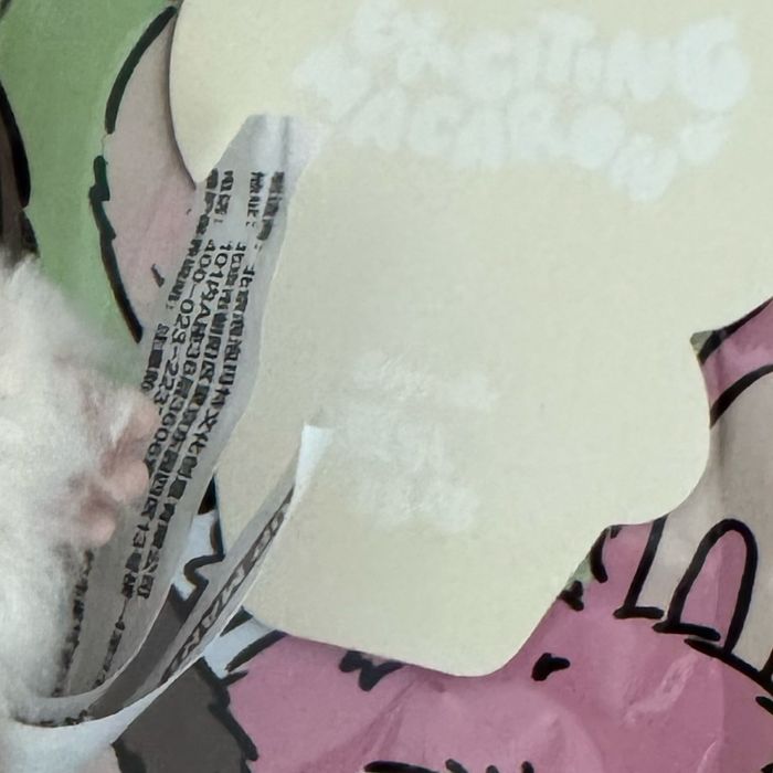 Labubu exciting macaron Pop Mart - photo numéro 4