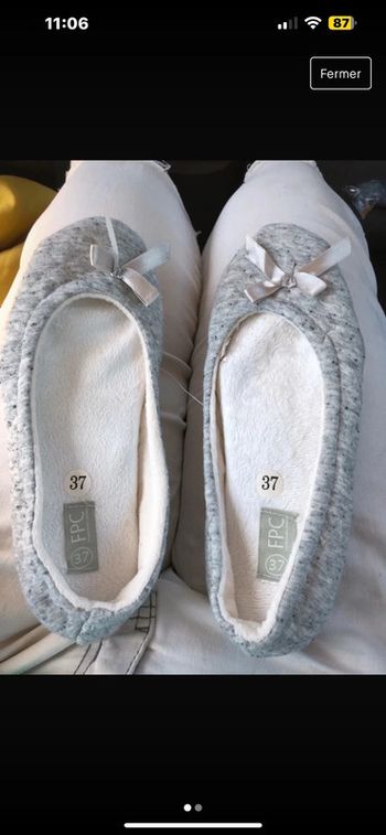 Paire de pantoufle grise