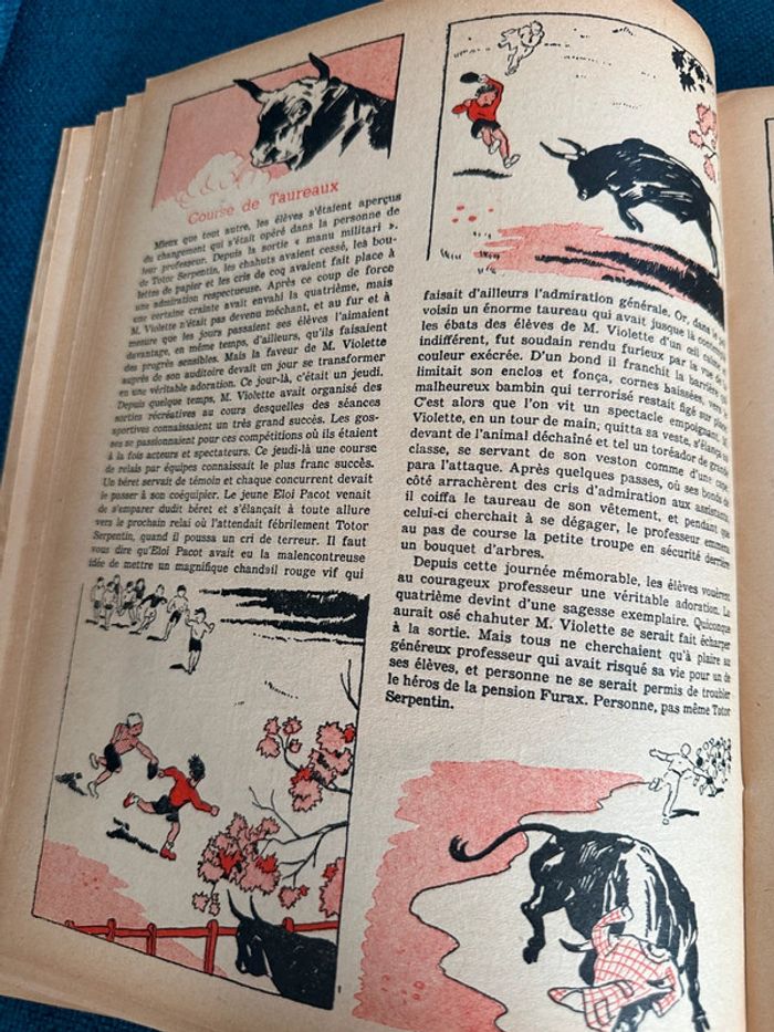 Livre cahier ancien Pension Furax Roger Roux Pierre Probst éditions du puits Pelu album - photo numéro 9