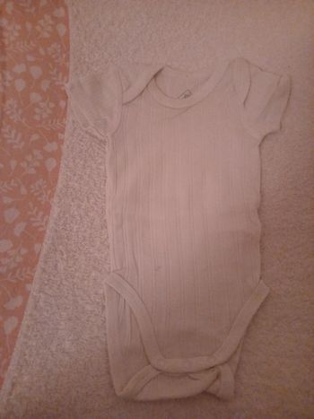 Bodies manches courtes