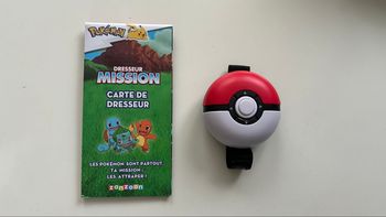 Pokémon : dresseur mission