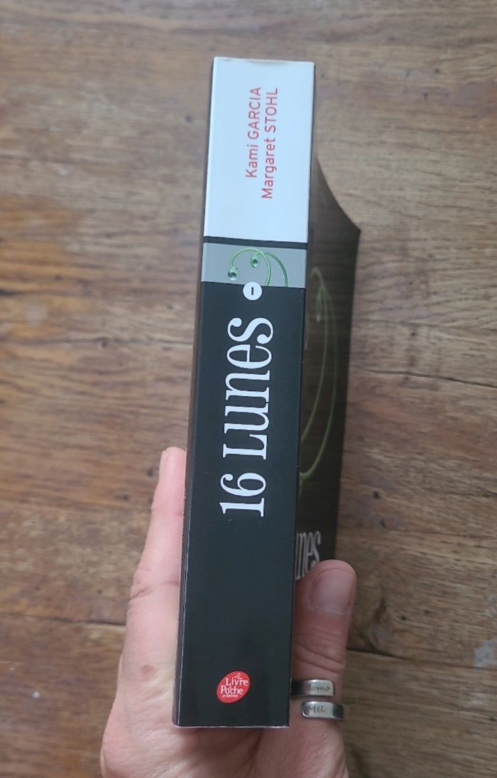 16 lunes - photo numéro 3