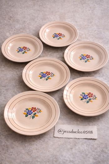 🌸 Lot de 6 assiettes mi-creuses vintage rose pâle – décor floral – style rétro