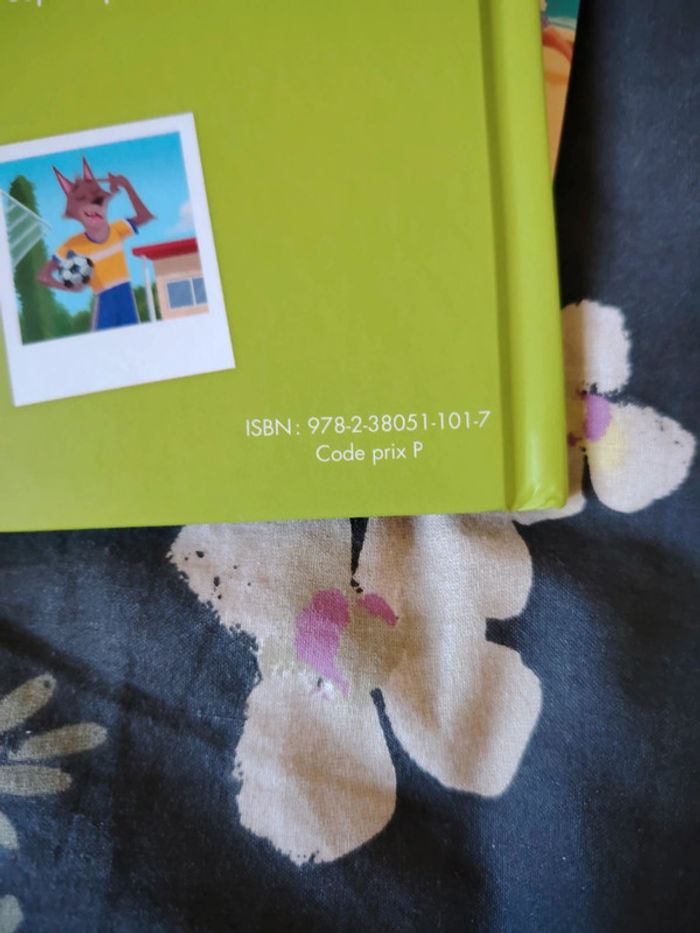 Livre mc do - photo numéro 3