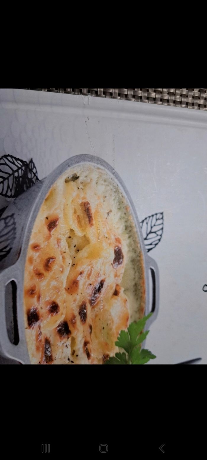 Livre recettes gratin - photo numéro 4