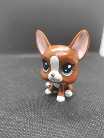 Little Petshop LPS dog french bulldog 2-92 roxie Mcterrier #geektradelpschat