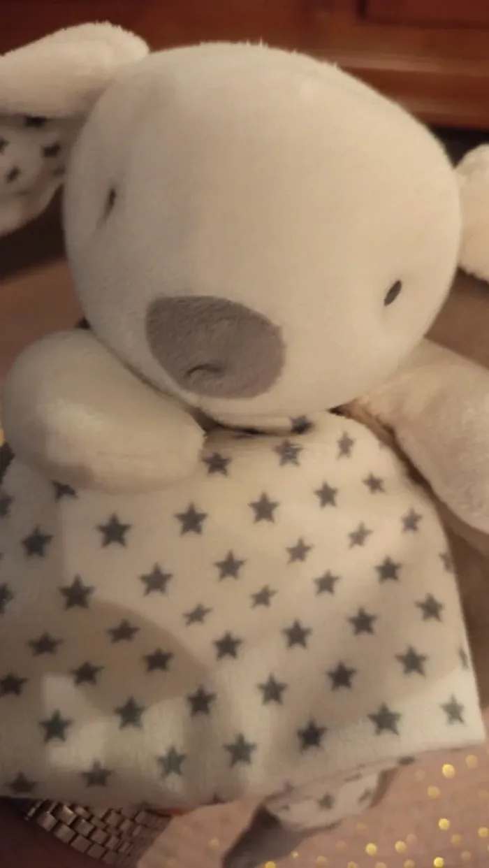 Doudou lapin chien obaibi - photo numéro 5