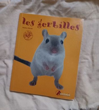Les gerbilles