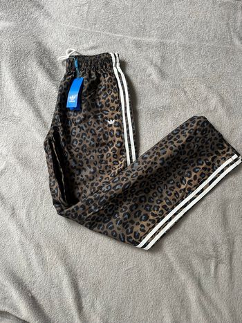 Jogging large léopard 🐆 