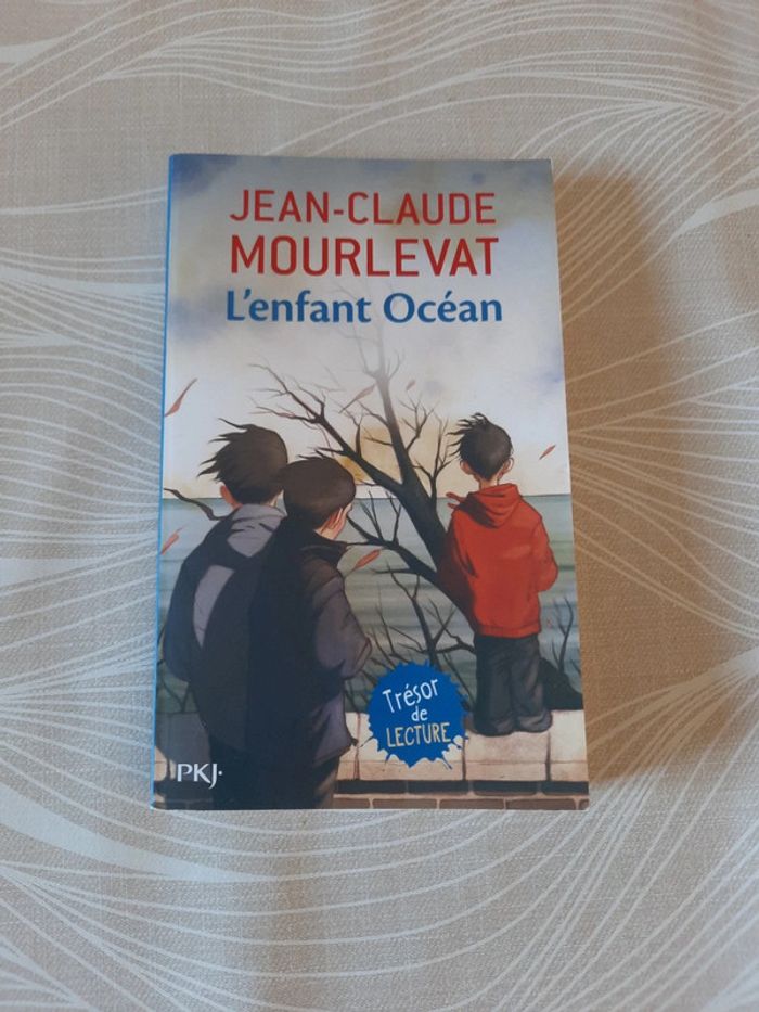 Livre 《l'enfant océan 》