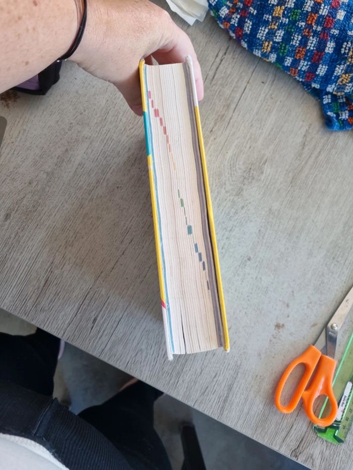 Dictionnaire gs cp ce1 - photo numéro 2