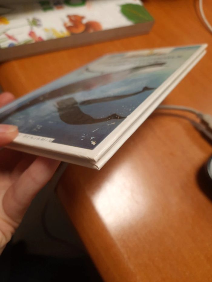 Livre découverte Benjamin - photo numéro 4