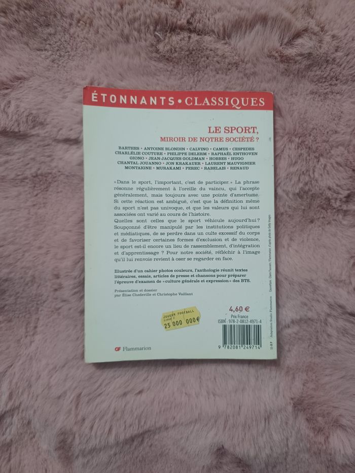 Livre: le sport, miroir de notre société - photo numéro 2