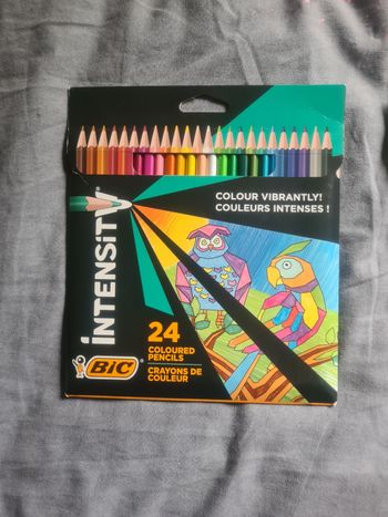 Pochette de 24 crayons de couleur intensity NEUFS
