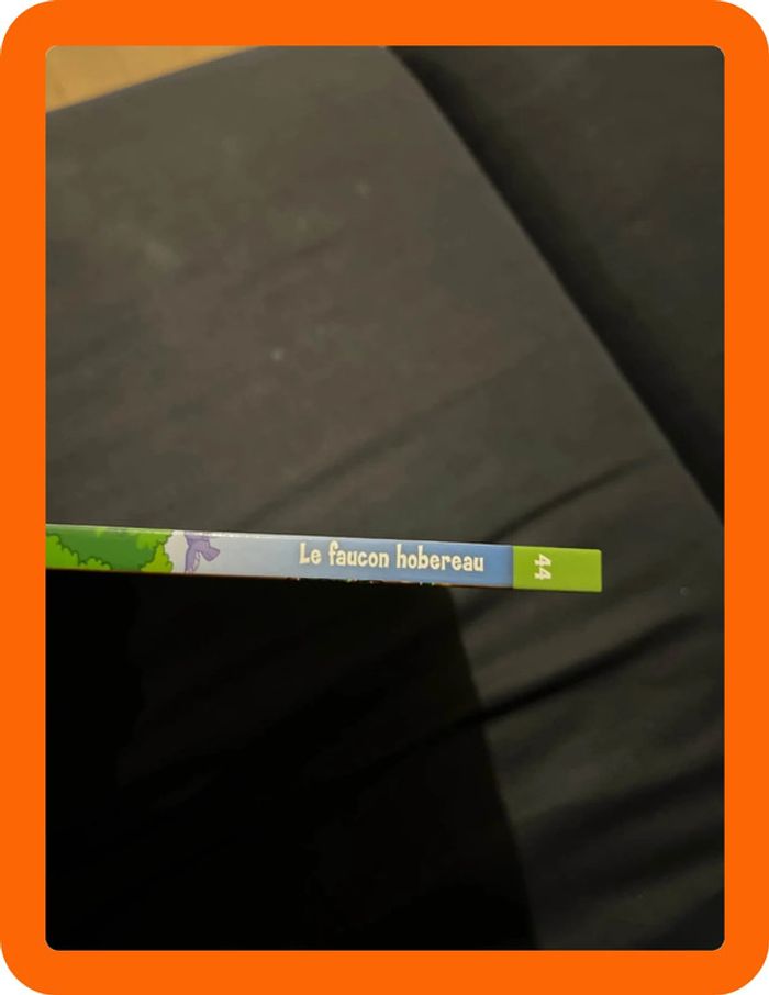 Livre le faucon hobereau - photo numéro 2