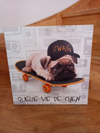 Cadre chien 28x28cm