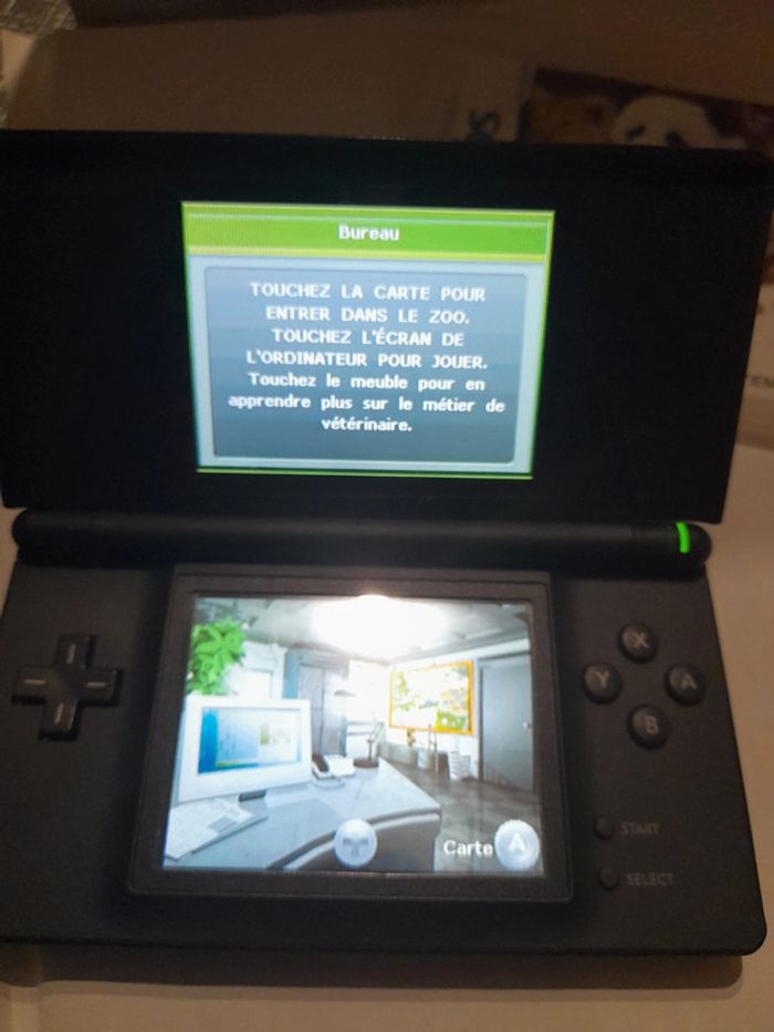 Mon ami le Panda et les animaux du zoo Nintendo DS - photo numéro 20