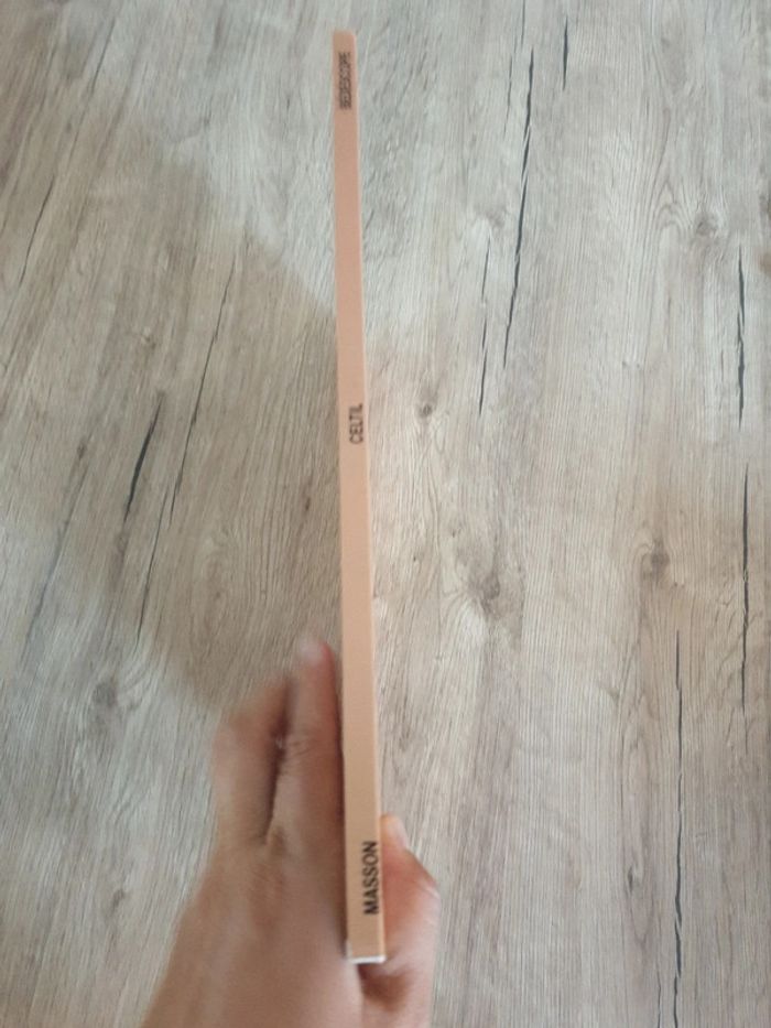 Bande dessinée Celtil - photo numéro 2