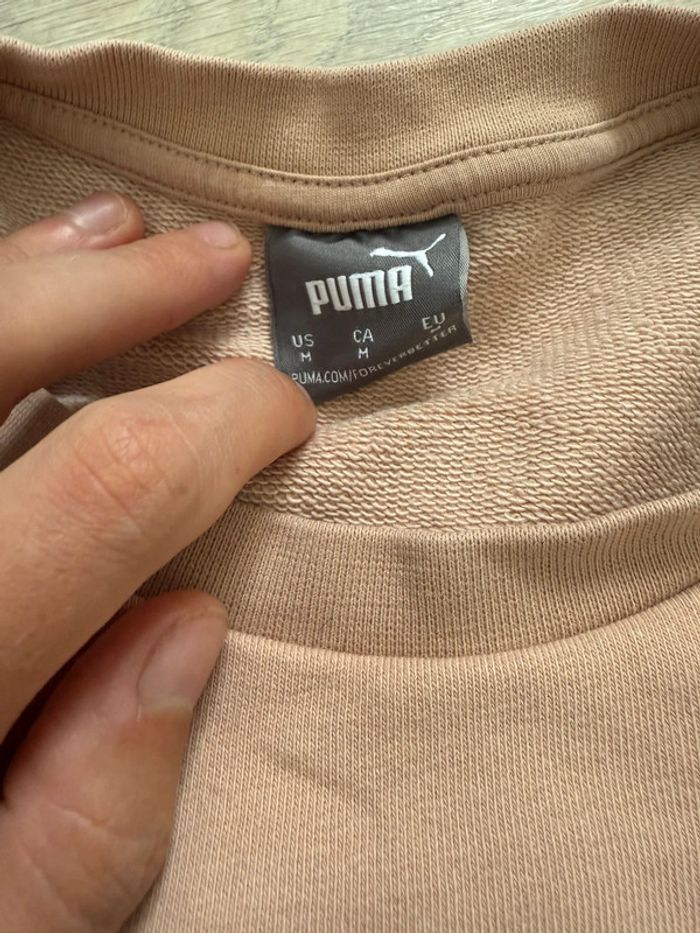 Pull puma - photo numéro 2