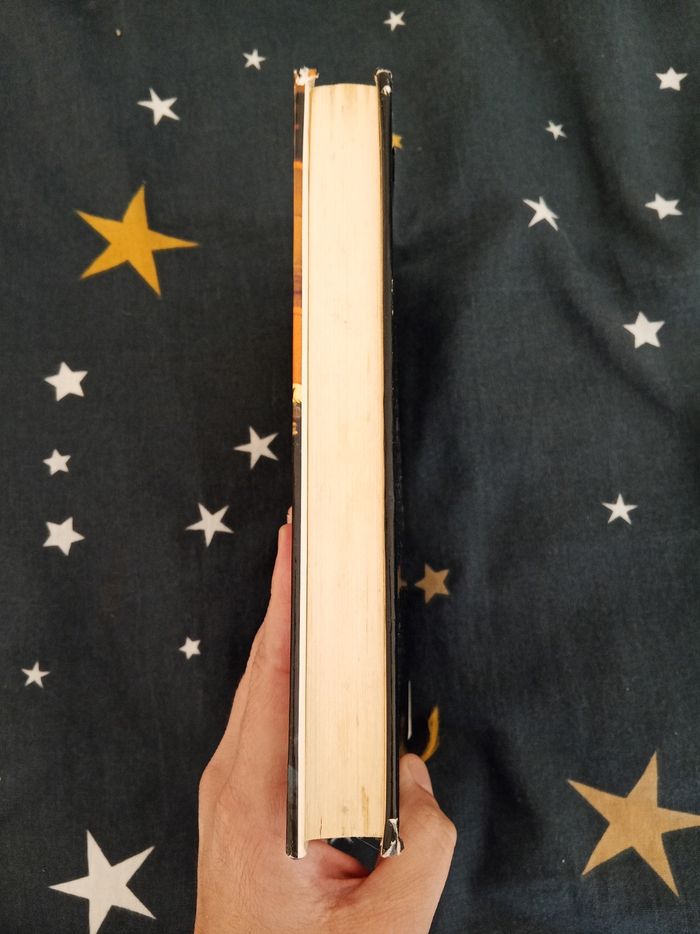 Livre (76) 📚 Disparu - photo numéro 4