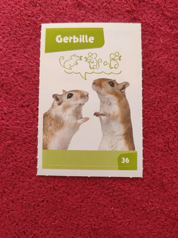 Carte nos amies les bêtes