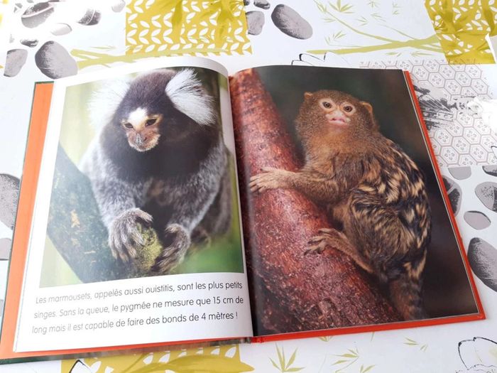 Livre :  Le monde  merveilleux des animaux  en  photos les singes - photo numéro 8