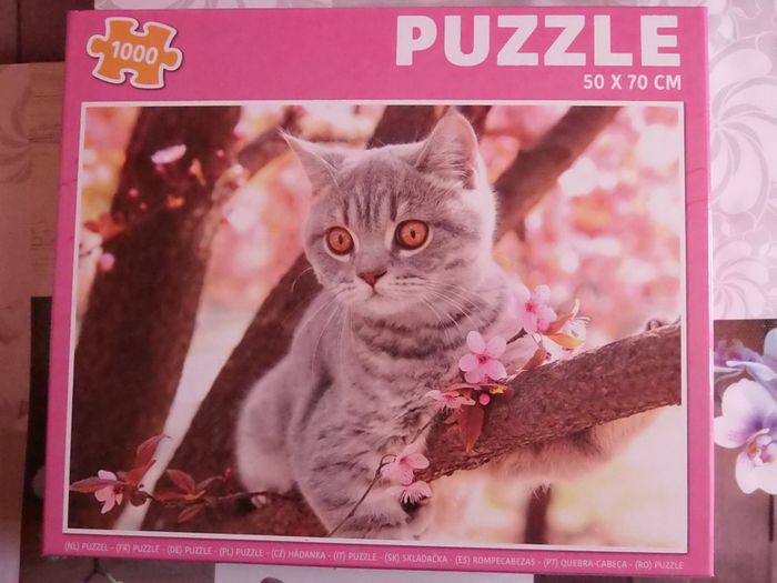 Chat sur branche