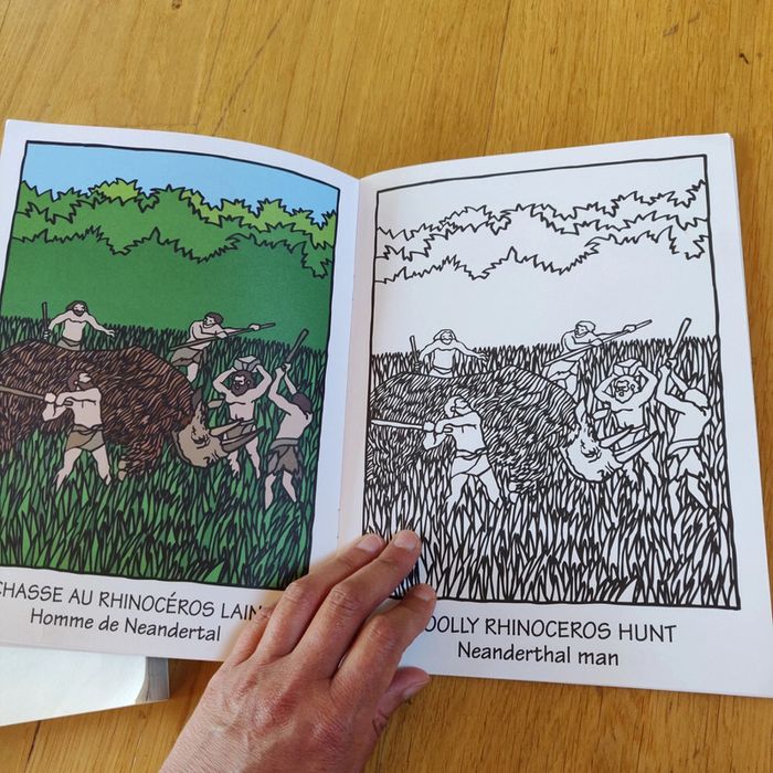 Lot livres activités 4/7 Ans - photo numéro 15