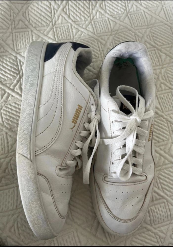 Puma 41