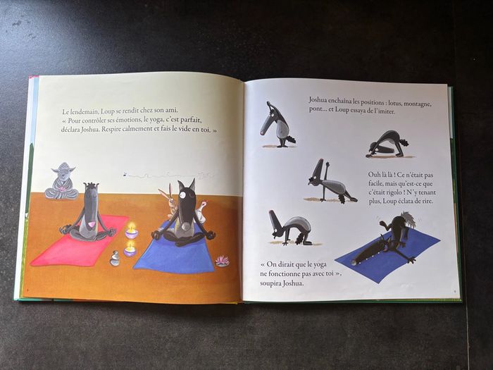 Lot de 3 livre Le Loup Auzou - photo numéro 5