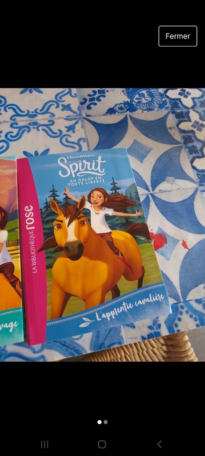 Lot de 2 livres SPIRIT - photo numéro 2