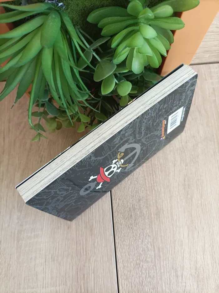 Manga One Piece n° 6 Glénat - photo numéro 5