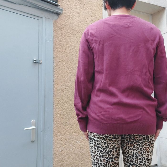 Superbe pull Tommy - photo numéro 4